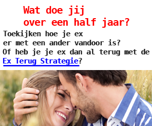 Wat doe jij over een half jaar?